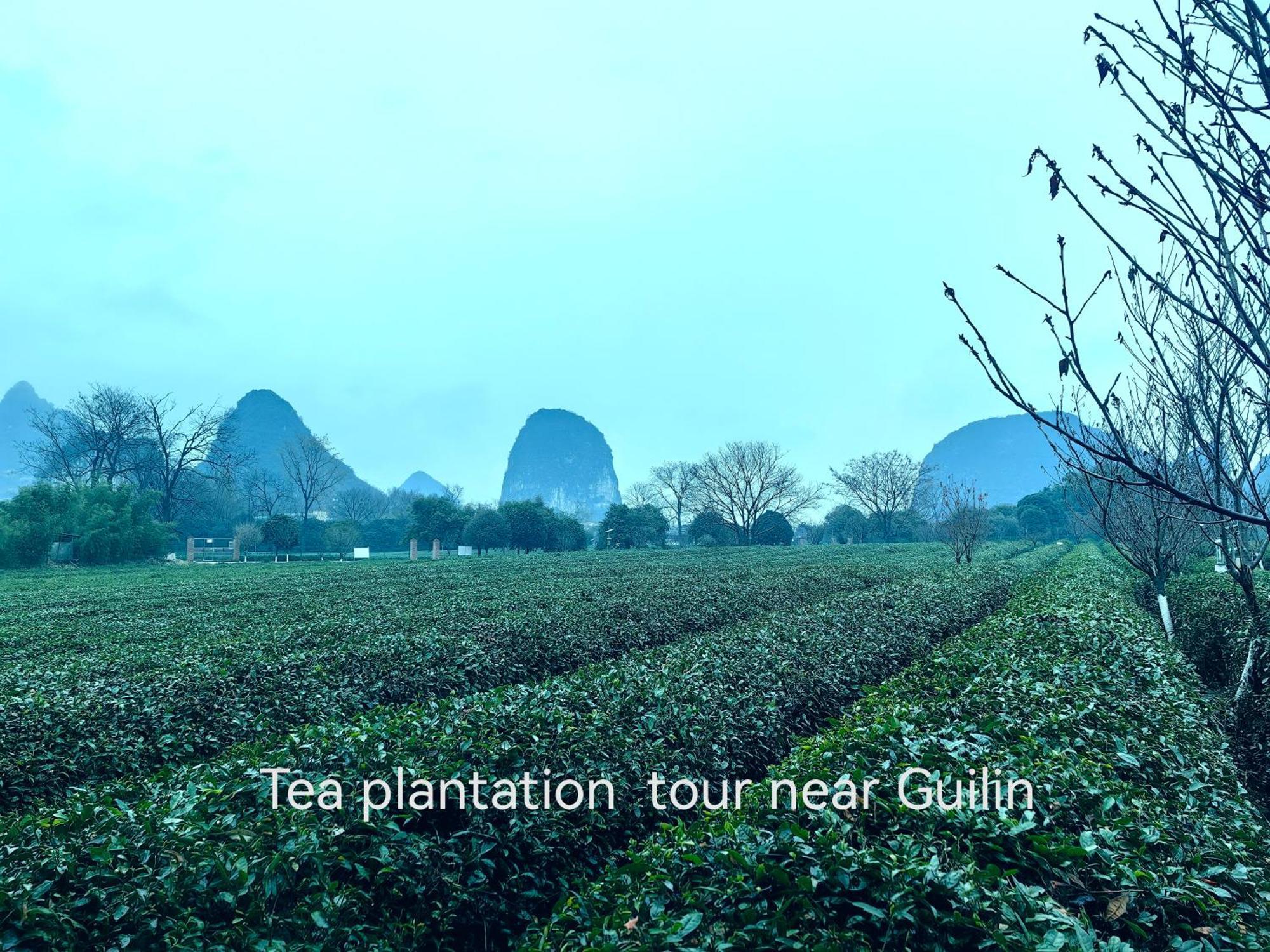 Guilin Village Creek Inn-Free Private Car Pick Up Station Stay 3 Nights Экстерьер фото