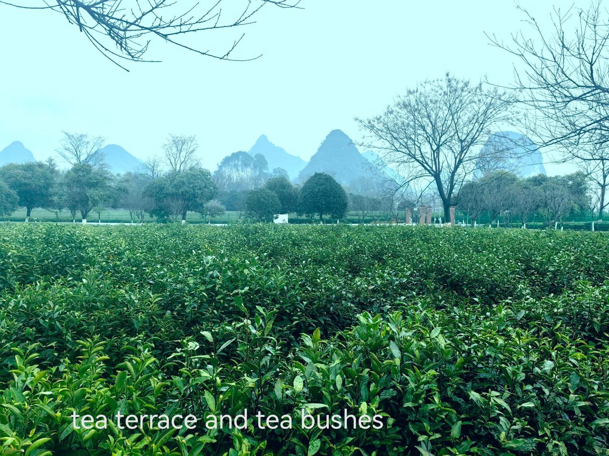 Guilin Village Creek Inn-Free Private Car Pick Up Station Stay 3 Nights Экстерьер фото